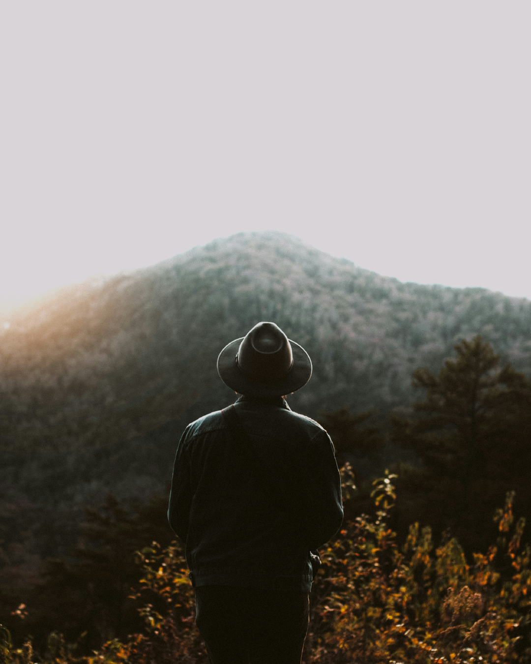 A traveler looking toward a sunlit mountain landscape